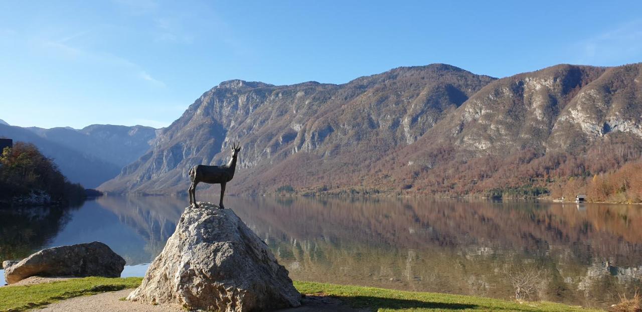 Apartment Sonce Bohinj Exterior foto